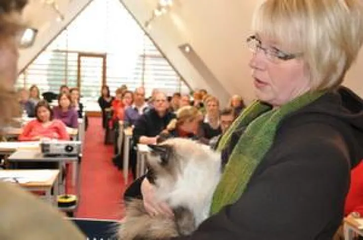 Bild: Katzen mit Hautproblemen – Problematik tritt mehr und mehr auf