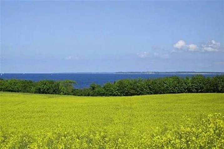 Bild: SOKO Wismar: auf den Pfaden der ZDF- Serie