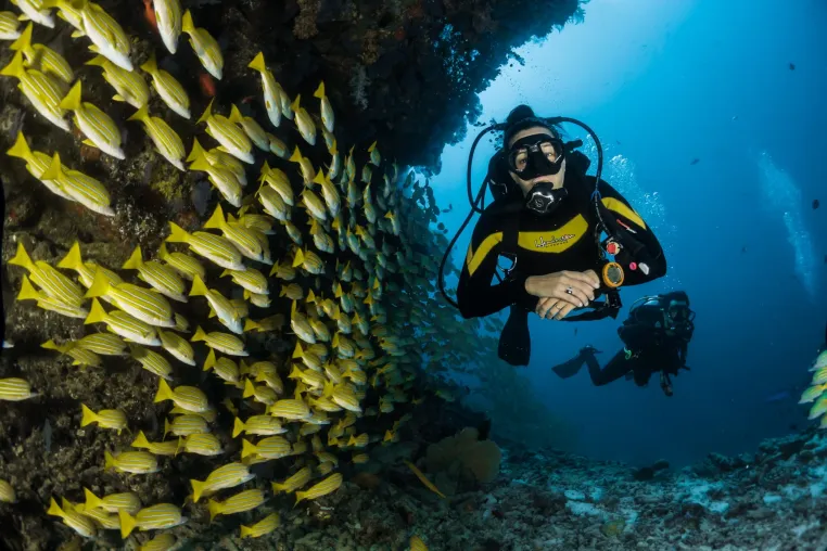 Koh Tao in Thailand - eine Insel, die nicht nur Taucher fasziniert Bild: Koh Tao in Thailand - eine Insel, die nicht nur Taucher fasziniert