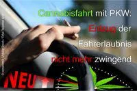 Bild: Entzug der Fahrerlaubnis bei Fahrt unter Cannabiseinfluss nicht mehr zwingend