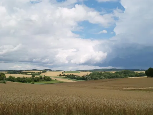 Bild: Agrarwetter bei Proplanta - jetzt mit 6-Tage-Wetterprognose und Bodentemperaturen