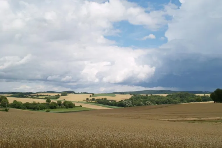 Agrarwetter bei Proplanta - jetzt mit 6-Tage-Wetterprognose und Bodentemperaturen Bild: Agrarwetter bei Proplanta - jetzt mit 6-Tage-Wetterprognose und Bodentemperaturen