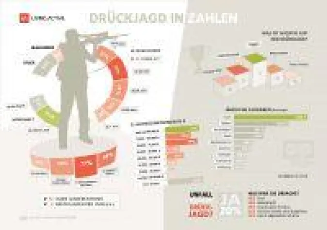 Bild: Die Drückjagd in Zahlen: Statistiken & Fakten