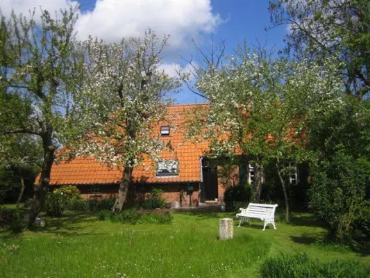 Bild: Gesundes Klima, frischer Fisch und die Nordsee – Urlaub im Ferienhaus Norddeich