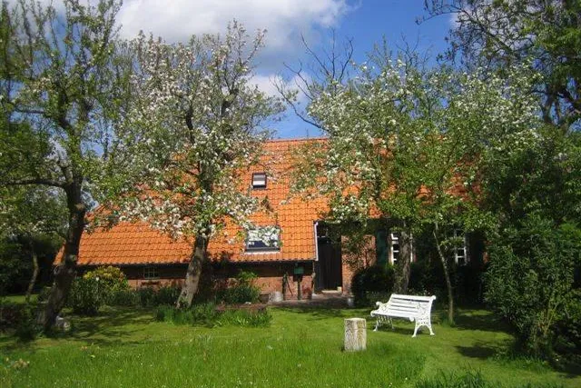 Bild: Gesundes Klima, frischer Fisch und die Nordsee – Urlaub im Ferienhaus Norddeich