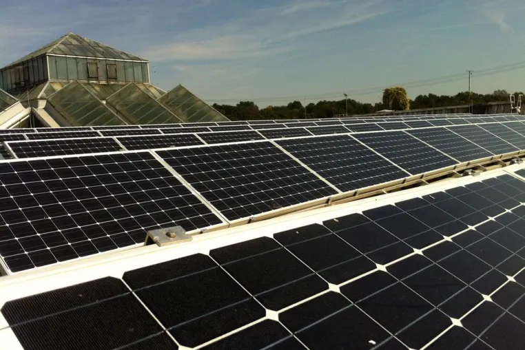 Bild: SOLARKAUF unterstützt Berliner Tierpark mit Photovoltaikanlage