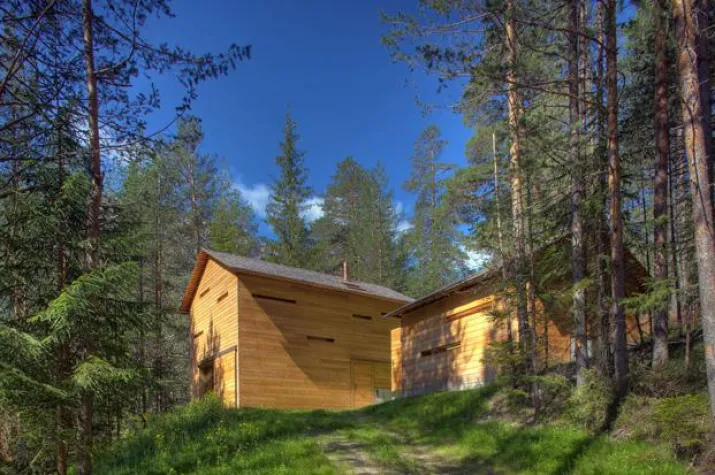 Bild: Moderne Blockhäuser mit Alpenflair