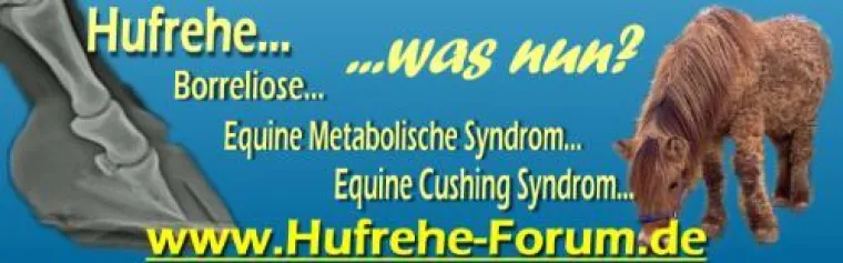 Bild: Hufrehe-Forum.de - Ein bewährtes Forum unter neuem Namen