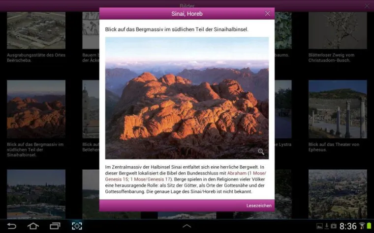 Die BasisBibel jetzt auch für Android-System Bild: Die BasisBibel jetzt auch für Android-System