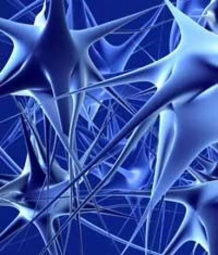 Bild: Neuromarketing – Neue Wege in der Marktforschung