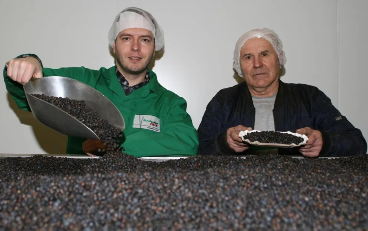 Bernhard Mix (links), Wacholder-Experte bei Kräuter Mix, und Maschinenführer Juri Geer