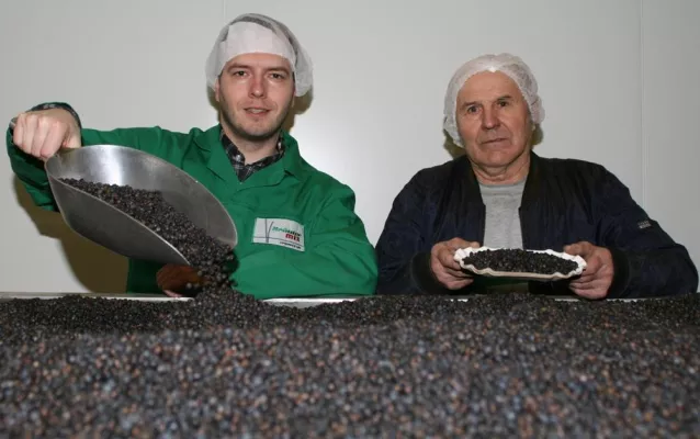 Bild: Kräuter Mix erweitert mit Wacholder seine Produktion in Abtswind