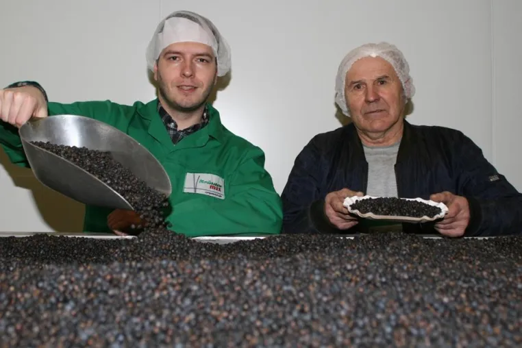 Kräuter Mix erweitert mit Wacholder seine Produktion in Abtswind Bild: Kräuter Mix erweitert mit Wacholder seine Produktion in Abtswind
