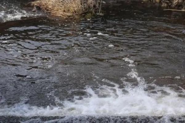 Wasseraktien - wenn man im Geld auch schwimmen kann Bild: Wasseraktien - wenn man im Geld auch schwimmen kann