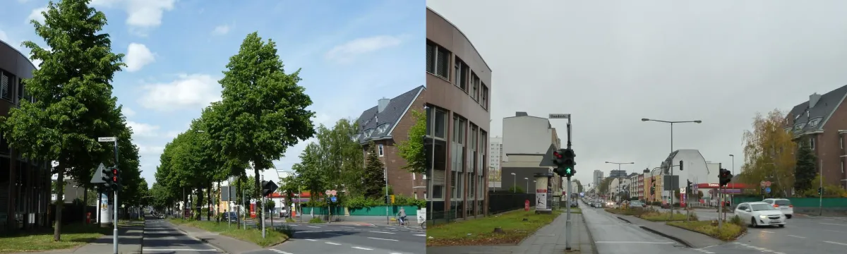 Kreuzungsbereich Gaede-, Marienburger und Bonner Straße vor und nach den Baumfällungen. Foto A. Wulf