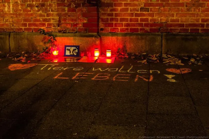 Bild: Mahnwache Alsfeld + Schlachthof Fulda