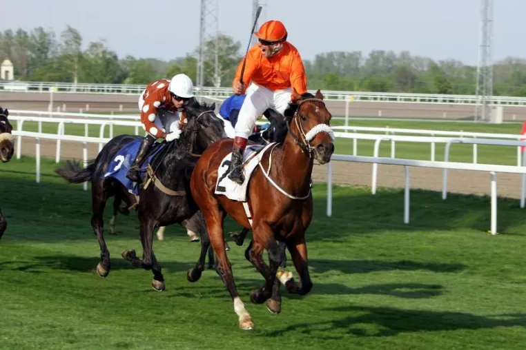 Bild: 140. Galopper Derby im Magna Racino - Jackpot in der Super6
