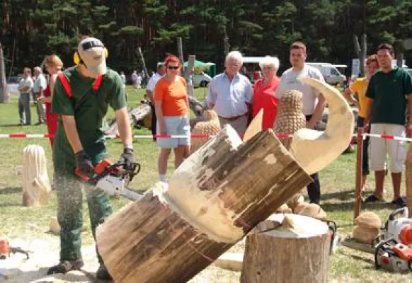 Bild: 14. Fest "Kunst mit Kettensägen" im Naturpark Dübener Heide