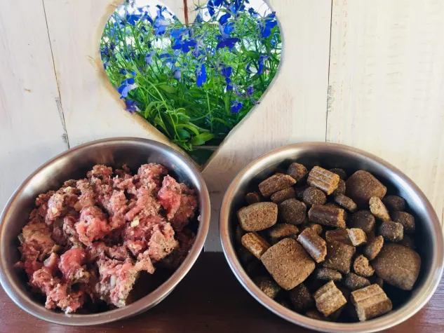 Kampf bei der Hundeernährung: Trockenfutter gegen Feuchtfutter Bild: Kampf bei der Hundeernährung: Trockenfutter gegen Feuchtfutter