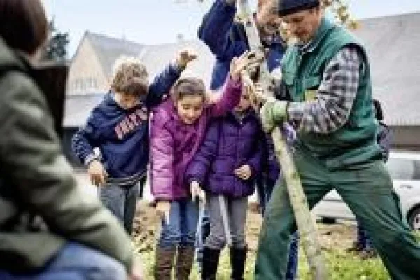 Bild: Bäume pflanzen statt Mathe: Deutsche Reihenhaus setzt Eichen mit Grundschülern in der Kölner Waldschule