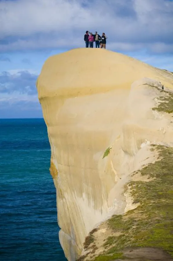 Das beste aus Neuseeland: Felsküste bei Dunedin