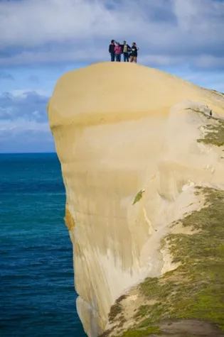 Bild: Gesucht: Das beste aus Neuseeland