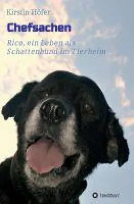 Bild: Chefsachen - "Schattenhund" Rico erzählt in einer berührenden Erzählung von einem Leben im Tierheim