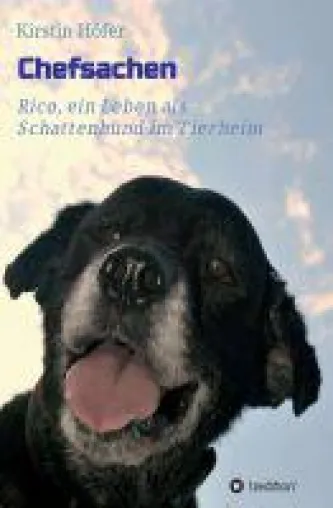 Bild: Chefsachen - "Schattenhund" Rico erzählt in einer berührenden Erzählung von einem Leben im Tierheim
