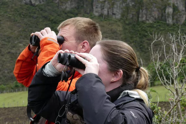 Bild: Die Natur ruft – und sie kommen: reisende Birdwatcher