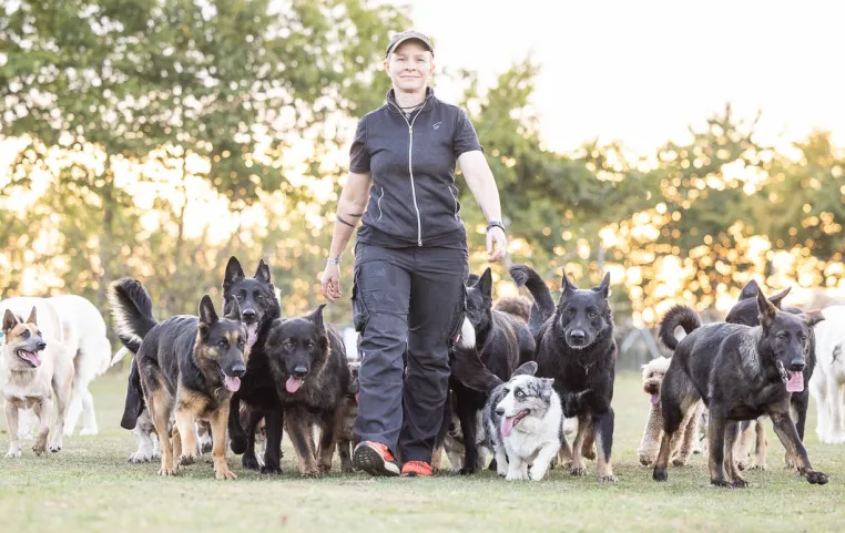 Bild: Vom Hundealltag zum SPIEGEL-Bestseller: Katrin Scholz trifft den Nerv einer ganzen Generation von Hundehaltern