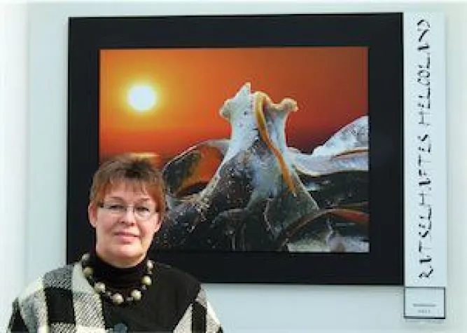 Rätselhaftes Helgoland im Bio-Hotel Miramar Bild: Rätselhaftes Helgoland im Bio-Hotel Miramar