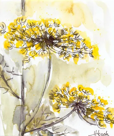 Himmel und Erde in der Spitalmühle Bild: Himmel und Erde in der Spitalmühle