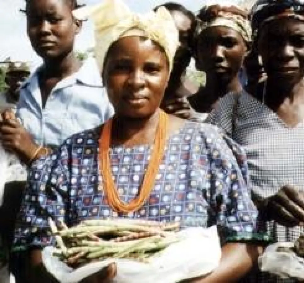 SODI unterstützte bereits landwirtschaftliche Kooperativen im Norden Namibias