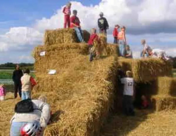 Bild: Feinkostmeile bei Biolesker