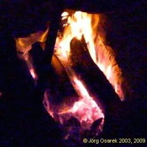 Bild: Neues Internet-Forum für Berater-Branding