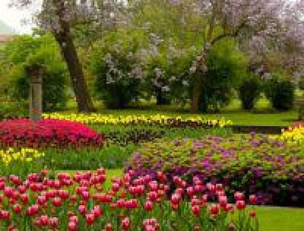 Tulpen in Villa Taranto©Roberto Maggioni
