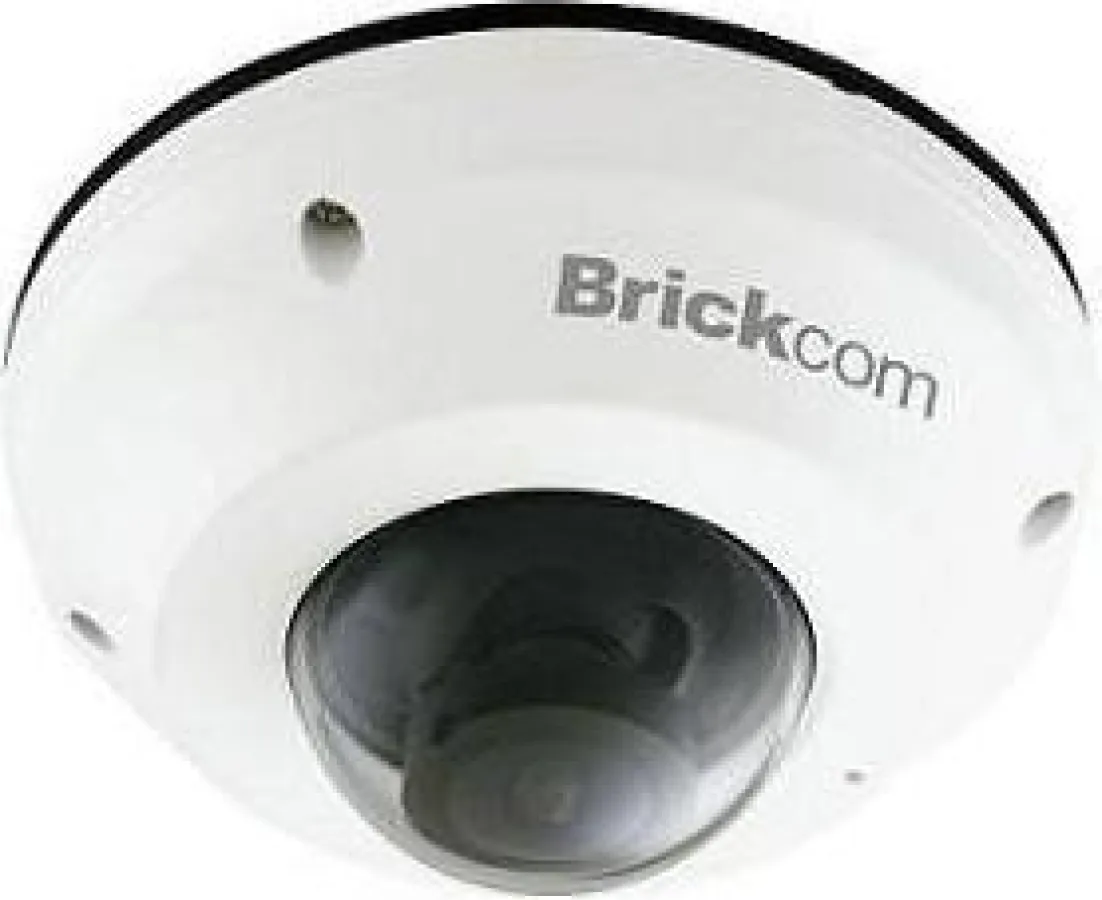 Brickcom 360° IP-Dome