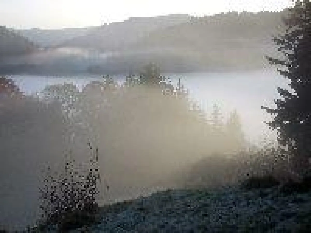 Über der Nebelgrenze