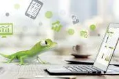 CSS AG stellt aktuelles Major Release von eGECKO vor Bild: CSS AG stellt aktuelles Major Release von eGECKO vor