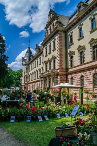 Ein Tag wie Urlaub im Schlosspark von Thurn und Taxis Bild: Ein Tag wie Urlaub im Schlosspark von Thurn und Taxis