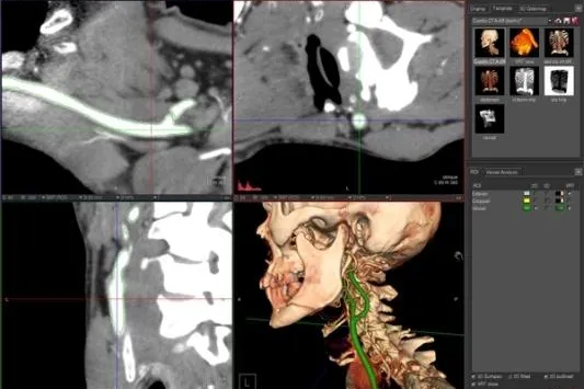 Österreichischer Marktführer bei Radiologie Info Systemen Bild: Österreichischer Marktführer bei Radiologie Info Systemen