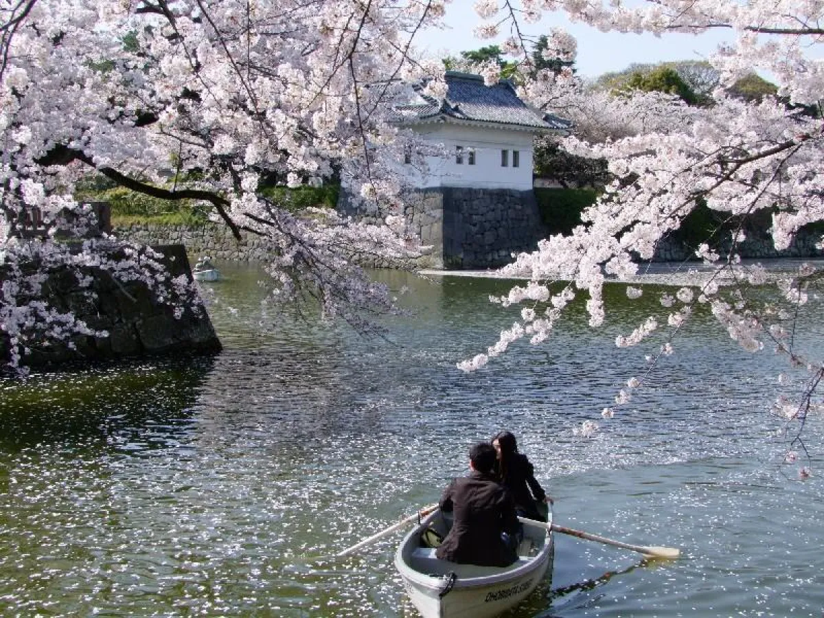 Kirschblüte in Odawara © Ralph P. Görlach, Budoten Kampfsport Versand