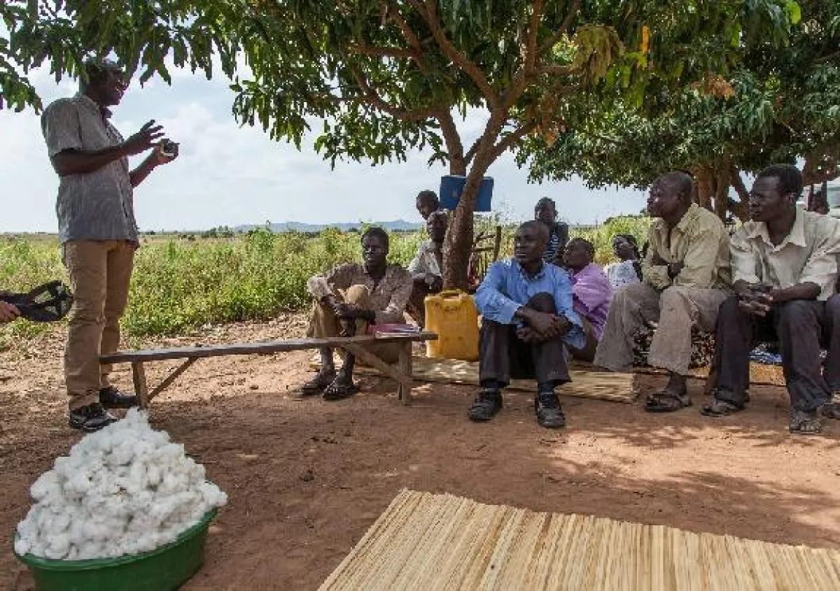 Farmer-Schulung im Cotonea-Bio-Baumwollprojekt Uganda