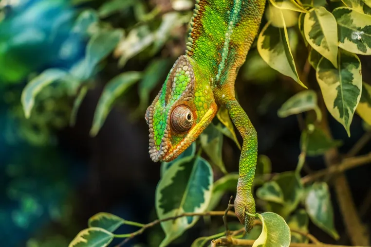 Ratgeber: Raus aus dem Software-Dschungel – Lager mittels optimaler Softwarelösung richtig digitalisieren Bild: Ratgeber: Raus aus dem Software-Dschungel – Lager mittels optimaler Softwarelösung richtig digitalisieren