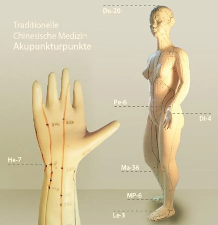 Traditionelle Chinesische Medizin - Akupunkturpunkte