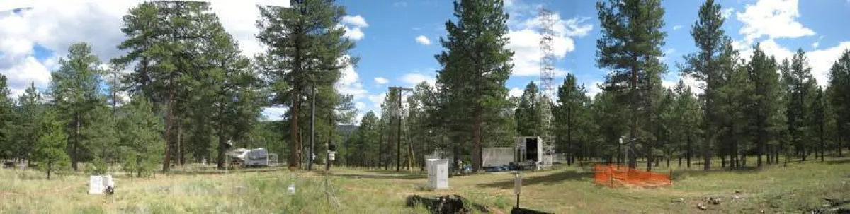 Ein weitgehend unberührtes Waldgebiet in den Rocky Mountains diente als Standort für den Messturm. (Thomas Karl)