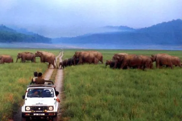 Bild: m-broker stellt jetzt günstige Mietwagen in Indien und Dubai