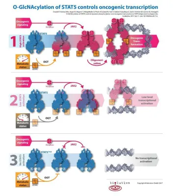 Bild: Stoffwechsel treibt Wachstum und Teilung von Krebszellen an