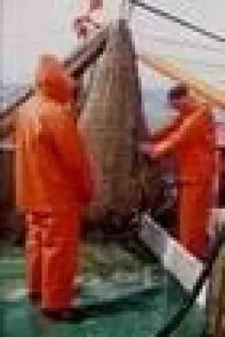 Bild: Aufbruch an der Küste