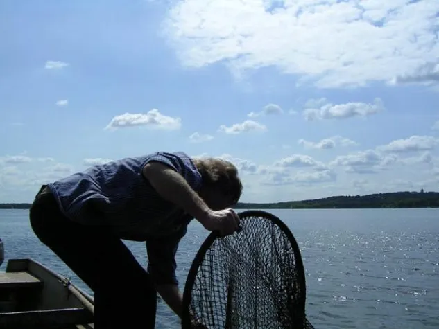 Bild: Fischversand traditionsreicher Räucherprodukte